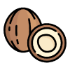 coconut-icon